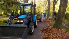 Goldener Herbst auf dem städtischen Friedhof in Bismark und die Gemeindearbeiter sind durchgängig im Einsatz