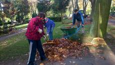 Goldener Herbst auf dem städtischen Friedhof in Bismark und die Gemeindearbeiter sind durchgängig im Einsatz